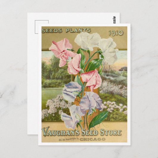  Briefkaart voor zaaigoed (Voorkant / Achterkant)