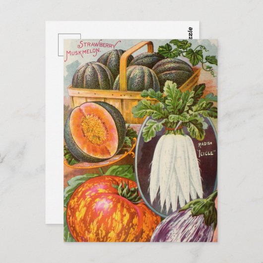 Briefkaart voor zaaigoed (Voorkant / Achterkant)