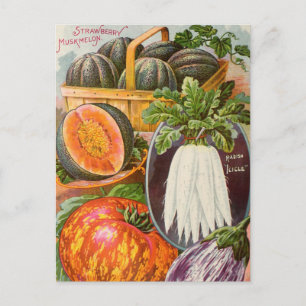  Briefkaart voor zaaigoed