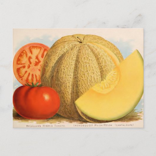 Briefkaart voor zaaigoed (Voorkant)