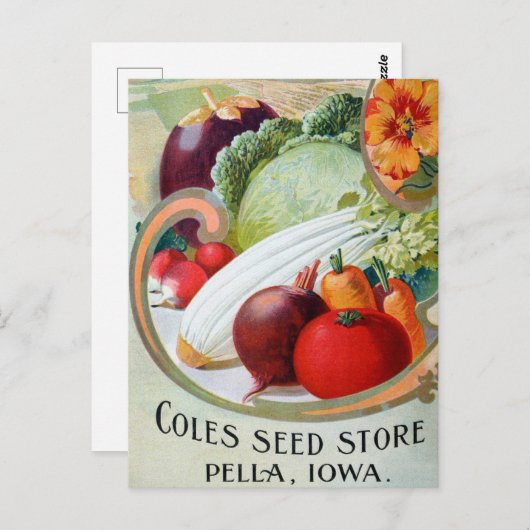  Briefkaart voor zaaigoed (Voorkant / Achterkant)