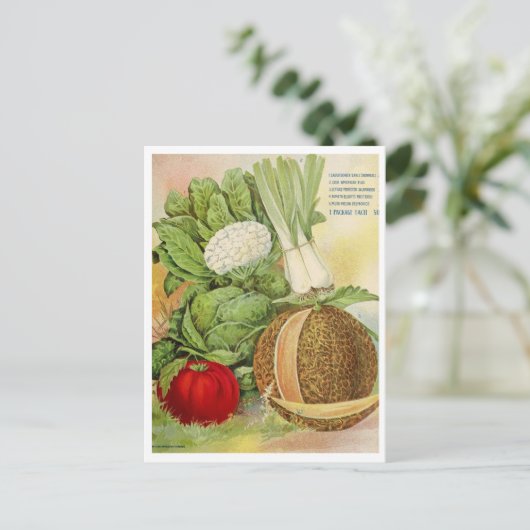  Briefkaart voor zaaigoed (Staand voorkant)