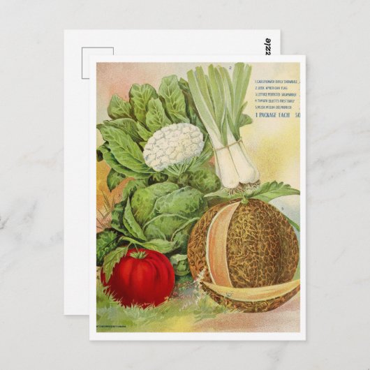  Briefkaart voor zaaigoed (Voorkant / Achterkant)