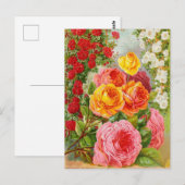 Briefkaart voor zaaigoed (Voorkant / Achterkant)