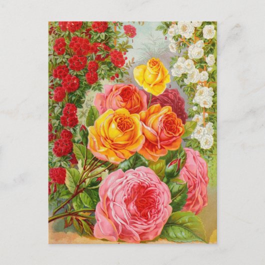 Briefkaart voor zaaigoed (Voorkant)