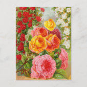  Briefkaart voor zaaigoed (Voorkant)