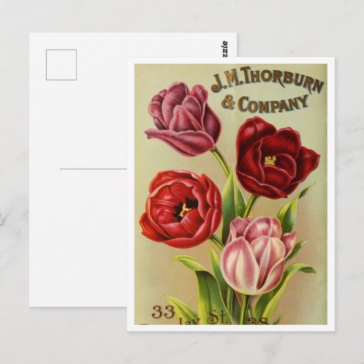  Briefkaart voor zaaigoed (Voorkant / Achterkant)