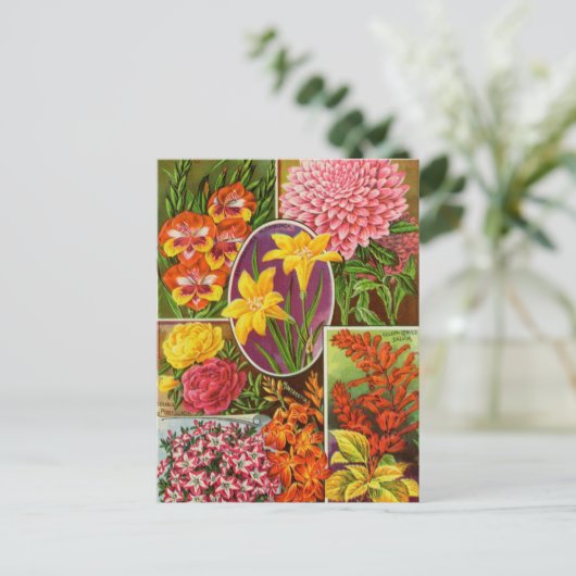  Briefkaart voor zaaigoed (Staand voorkant)