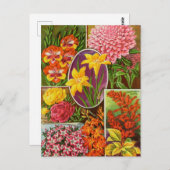  Briefkaart voor zaaigoed (Voorkant / Achterkant)