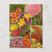  Briefkaart voor zaaigoed (Voorkant)