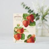  Briefkaart voor zaaigoed (Staand voorkant)