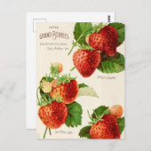  Briefkaart voor zaaigoed (Voorkant / Achterkant)