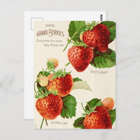  Briefkaart voor zaaigoed (Voorkant / Achterkant)