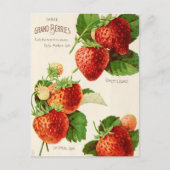  Briefkaart voor zaaigoed (Voorkant)