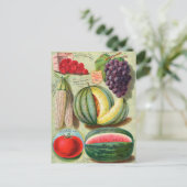  Briefkaart voor zaaigoed (Staand voorkant)