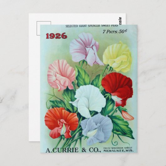  Briefkaart voor zaaigoed (Voorkant / Achterkant)