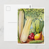  Briefkaart voor zaaigoed (Voorkant / Achterkant)