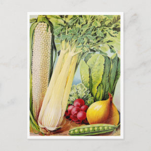  Briefkaart voor zaaigoed