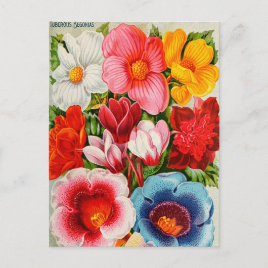  Briefkaart voor zaaigoed (Voorkant)