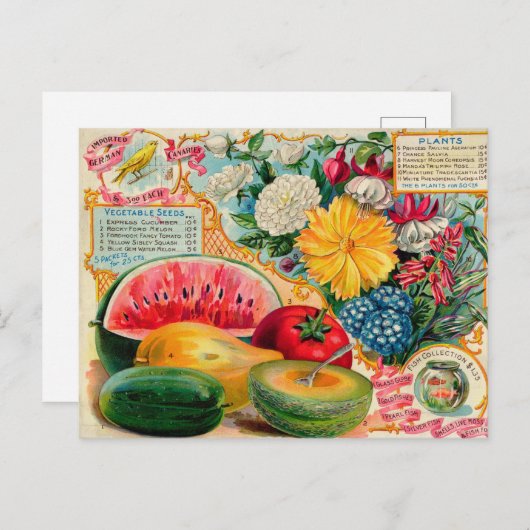 Briefkaart voor zaaigoed (Voorkant / Achterkant)