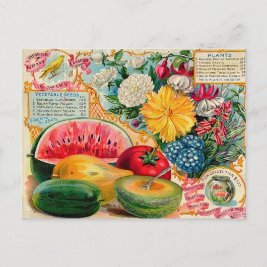 Briefkaart voor zaaigoed (Voorkant)