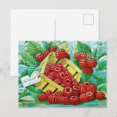 Briefkaart voor zaaigoed (Voorkant / Achterkant)