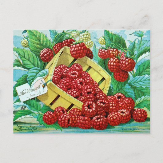 Briefkaart voor zaaigoed (Voorkant)