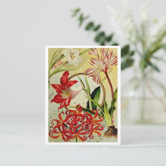 Briefkaart voor zaaigoed (Staand voorkant)