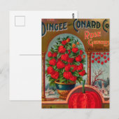  Briefkaart voor zaaigoed (Voorkant / Achterkant)