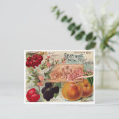  Briefkaart voor zaaigoed (Staand voorkant)