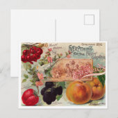  Briefkaart voor zaaigoed (Voorkant / Achterkant)