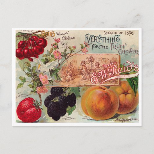  Briefkaart voor zaaigoed (Voorkant)