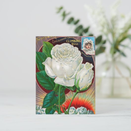  Briefkaart voor zaaigoed (Staand voorkant)