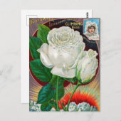  Briefkaart voor zaaigoed (Voorkant / Achterkant)