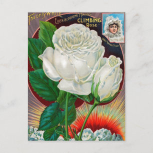  Briefkaart voor zaaigoed