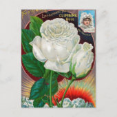  Briefkaart voor zaaigoed (Voorkant)