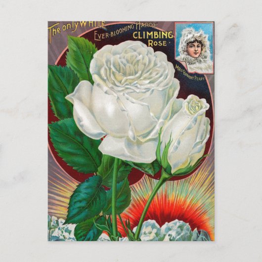  Briefkaart voor zaaigoed (Voorkant)