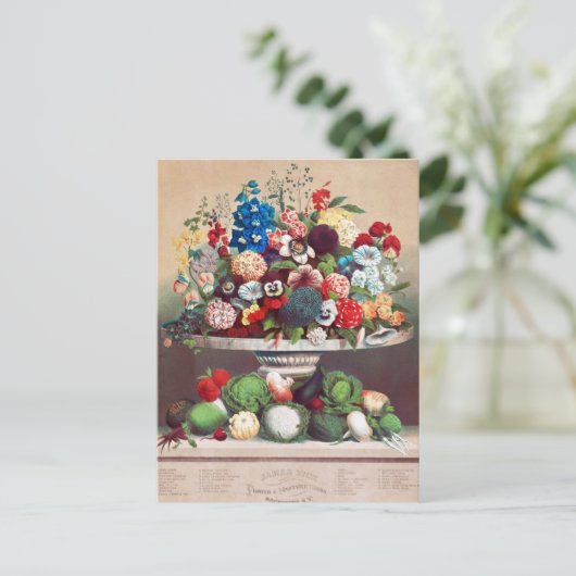  Briefkaart voor zaaigoed (Staand voorkant)