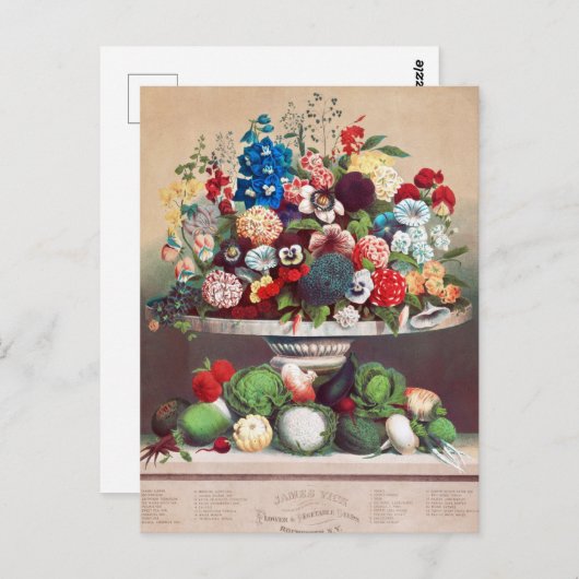 Briefkaart voor zaaigoed (Voorkant / Achterkant)