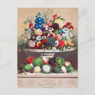  Briefkaart voor zaaigoed