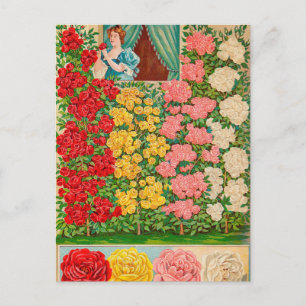  Briefkaart voor zaaigoed