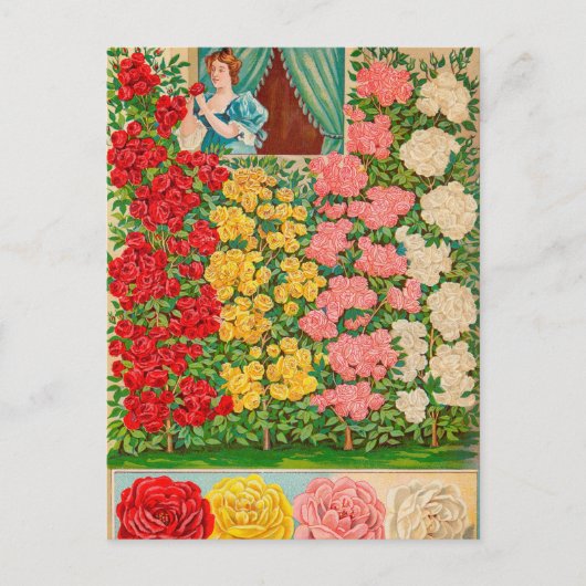  Briefkaart voor zaaigoed (Voorkant)