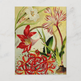  Briefkaart voor zaaigoed