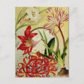  Briefkaart voor zaaigoed (Voorkant)