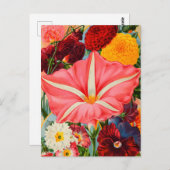 Briefkaart voor zaaigoed (Voorkant / Achterkant)