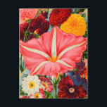 Briefkaart voor zaaigoed<br><div class="desc">producten</div>