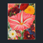 Briefkaart voor zaaigoed<br><div class="desc">producten</div>