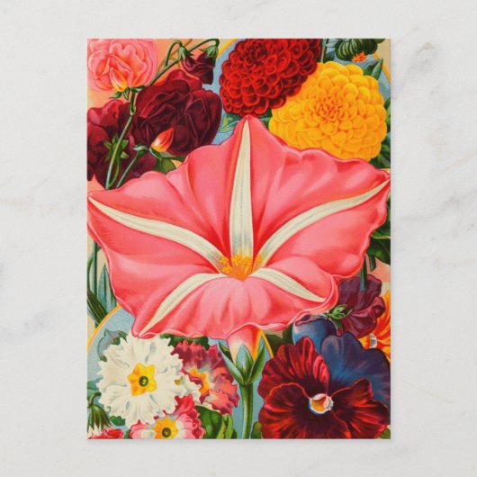 Briefkaart voor zaaigoed (Voorkant)