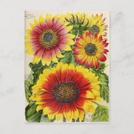  Briefkaart voor zaaigoed