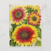  Briefkaart voor zaaigoed (Voorkant)